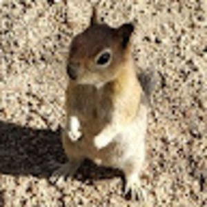 Meet your Posher, Joaquin